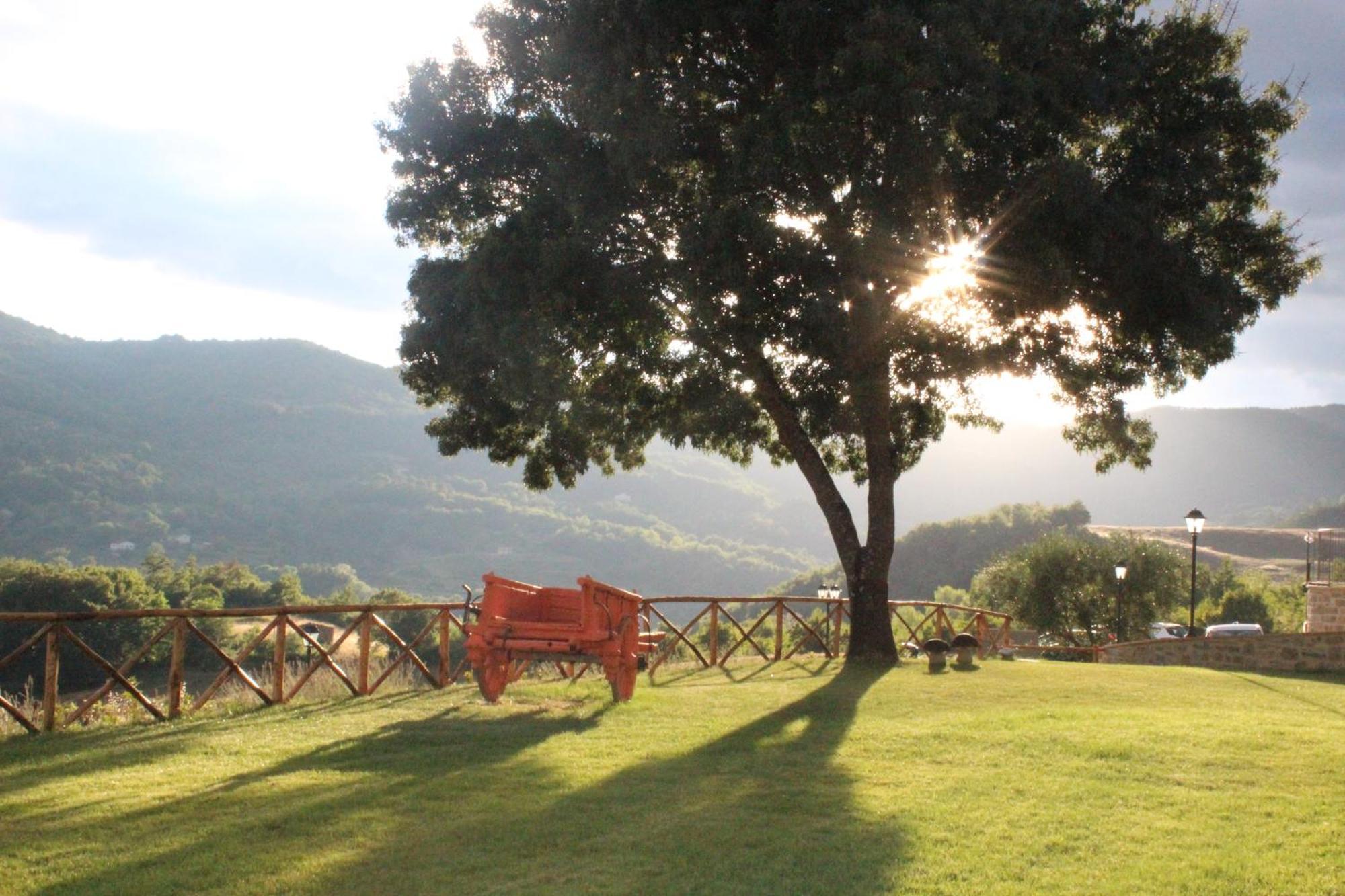 Quata Borgo alla Collina